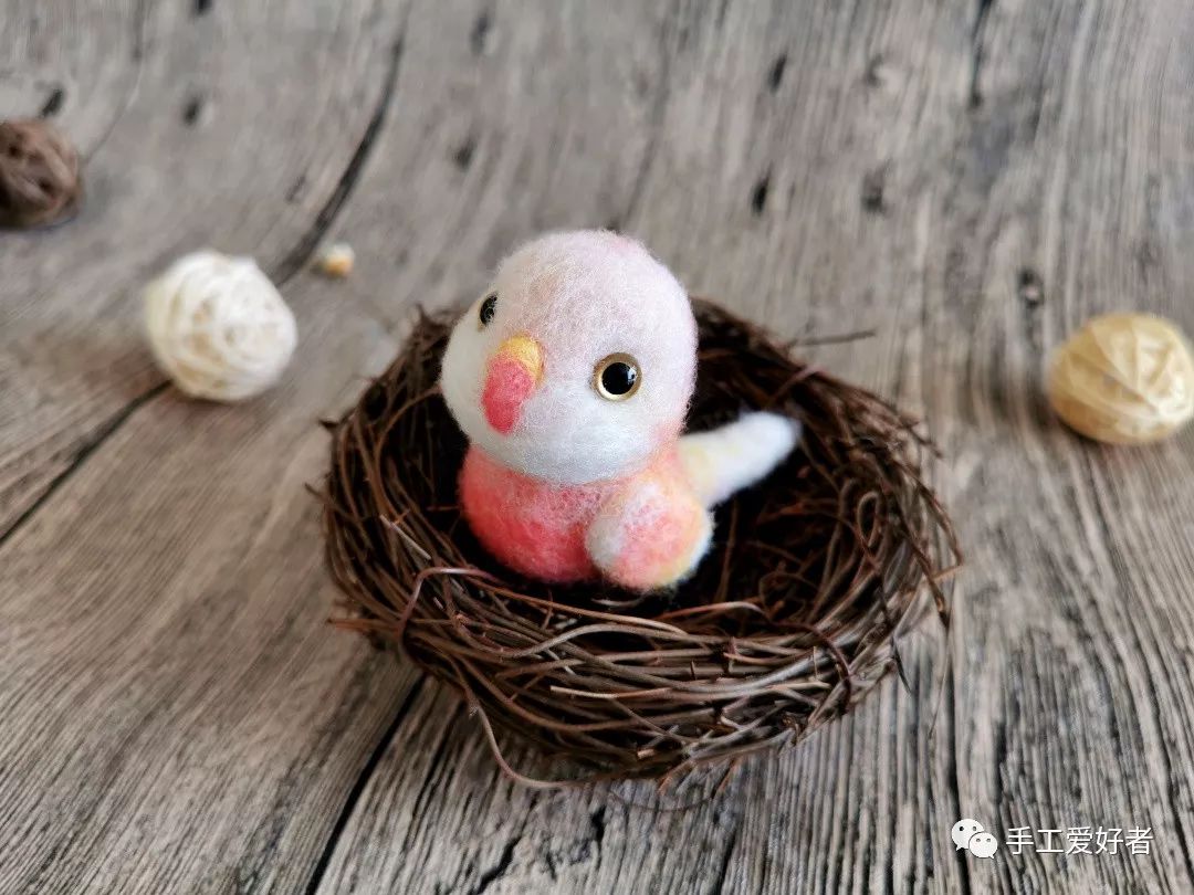 一只鹦鹉的训练过程,怎么快速教小鹦鹉自己吃