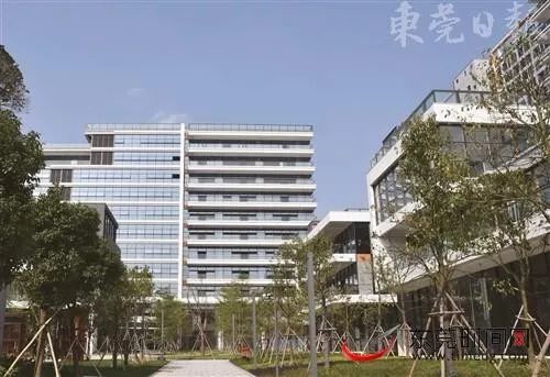 东莞市凤岗镇都市智谷,京东都市智谷