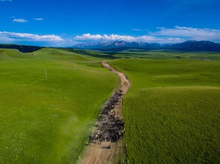 为什么叫甘肃,甘肃为什么叫河西走廊