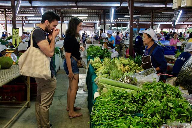 清迈漫游,清迈4天行程
