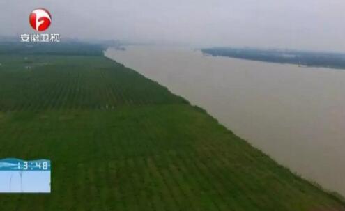 快看！安庆上了长江流域十二省市联合大直播