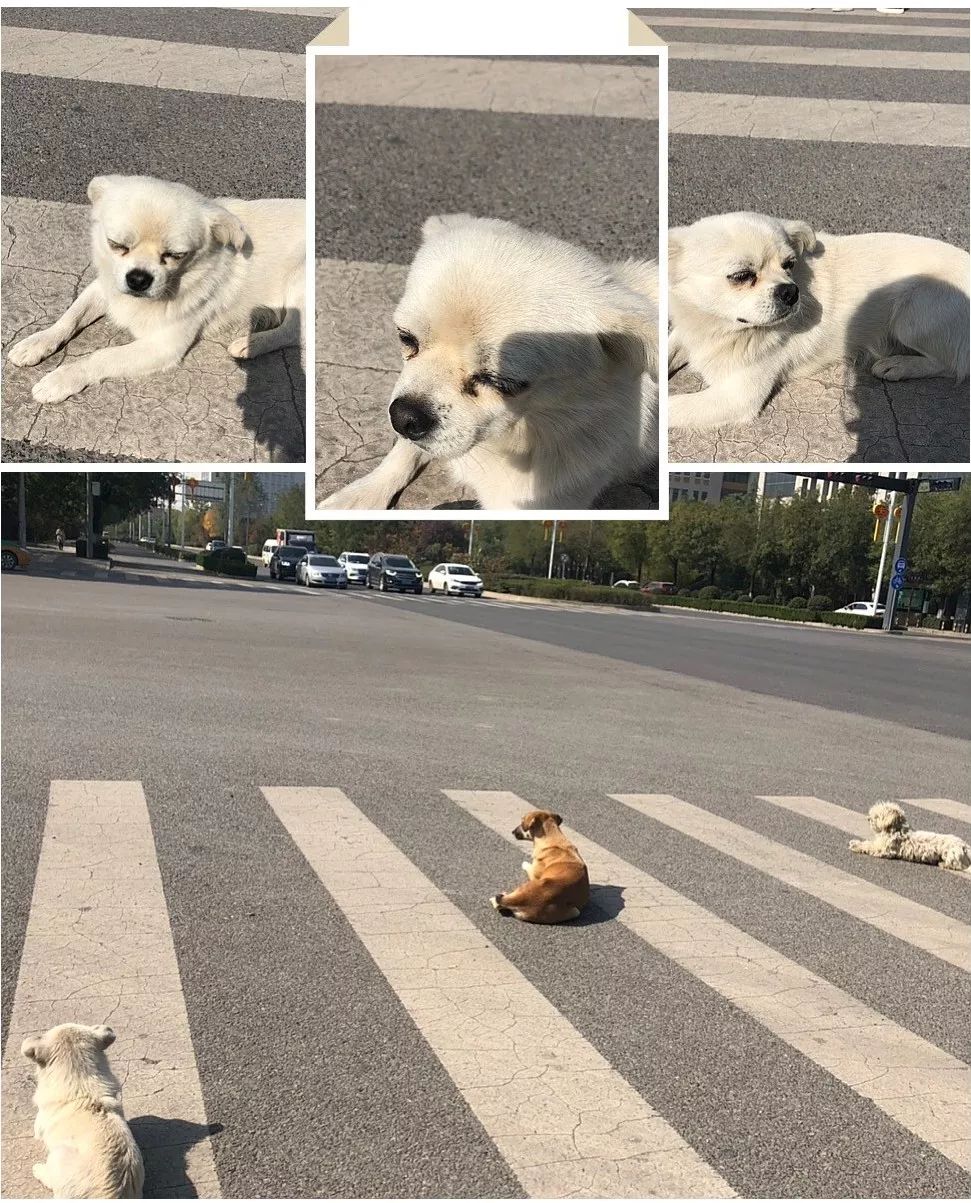 别了！交大城院