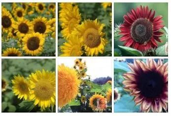 每天3分钟尽览天下事（微信、支付宝可免费申领ETC/年底前，河南又有5条高速要通车/本月郑州有9场主题招聘会等你来）