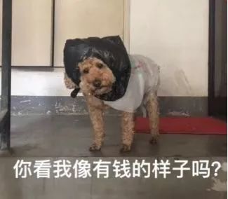 科普为什么垃圾要分类,科普垃圾分类图片