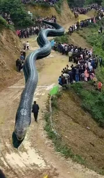 这十个常见的谣言你识破了吗,这10条谣言坑了多少年