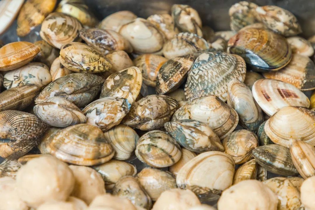 骞垮窞浜旀槦閰掑簵鑷姪鍗堥鎺ㄨ崘,鏂板鑷姪鍗堥