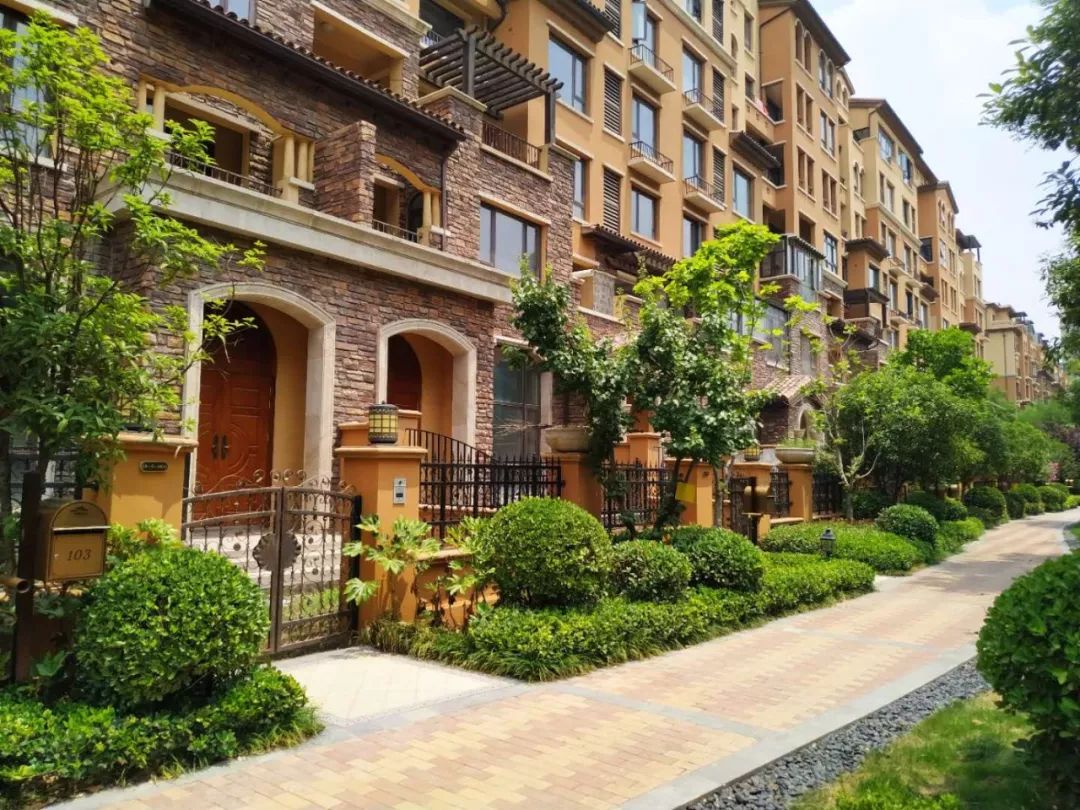 六年深耕，片区之王造城记