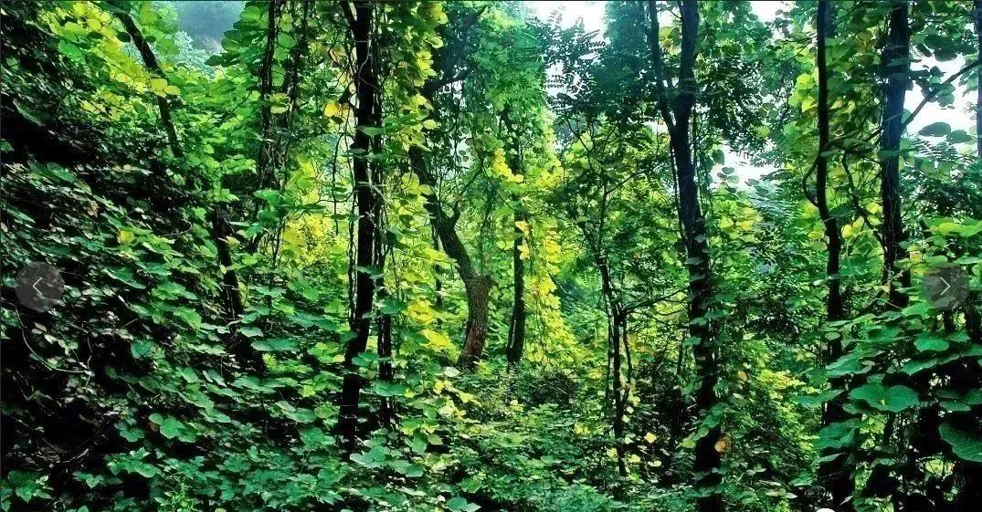 6-8月份石家庄避暑最佳地方,石家庄哪里凉快适合避暑