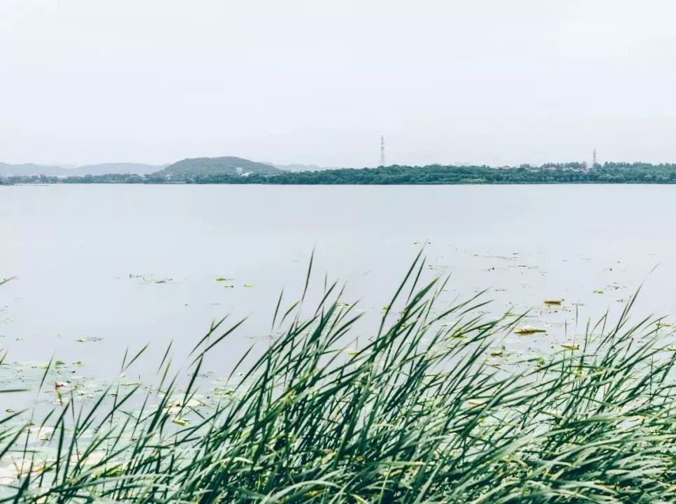 世外桃源武汉,武汉世外桃源旅游攻略