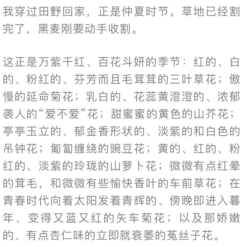 夜读|绝不低头的牛蒡花，你见过吗？