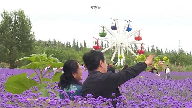 紫金苑风光无限,紫金苑景区花海