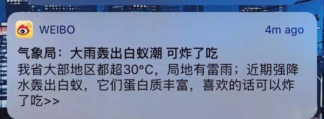 见到虫子很害怕怎么办,见到光就飞过来的虫子怎么去除