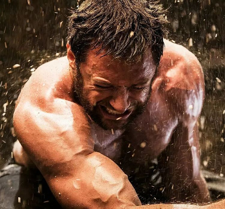 暮狼归乡金刚狼为什么杀浩克,对金刚狼的真实评价