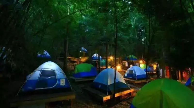 来西双版纳，做大自然的学生|雅居乐·西双林语夏令营开始报名啦