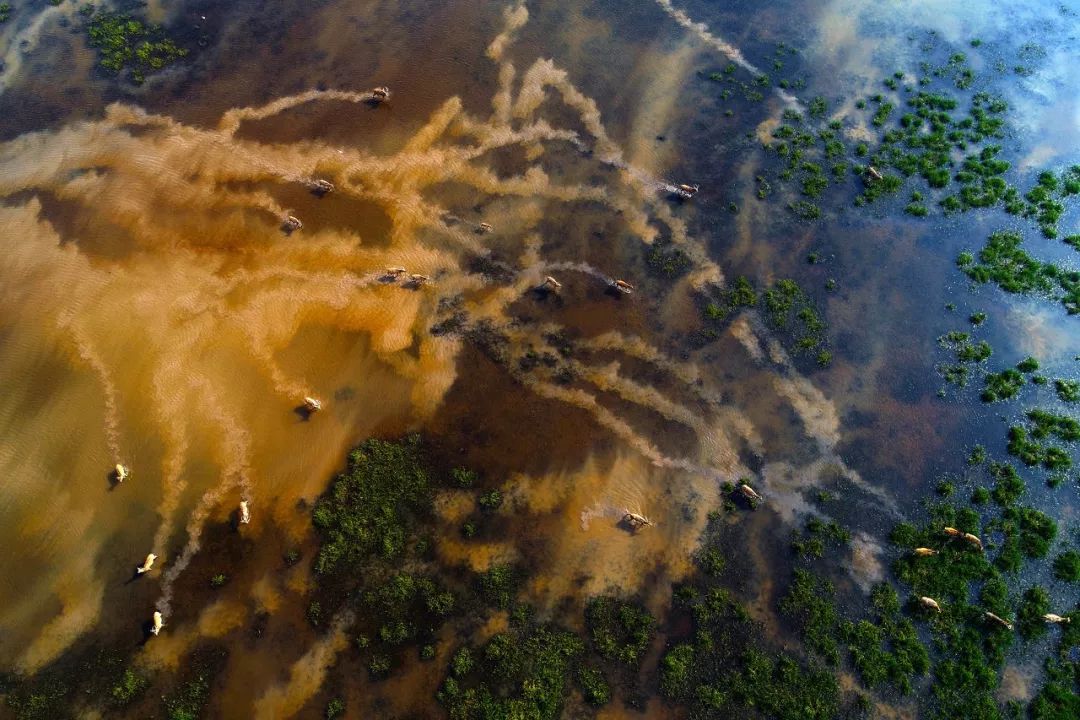 江苏的世界遗产旅游景区,江苏哪些地方被列入世界文化遗产