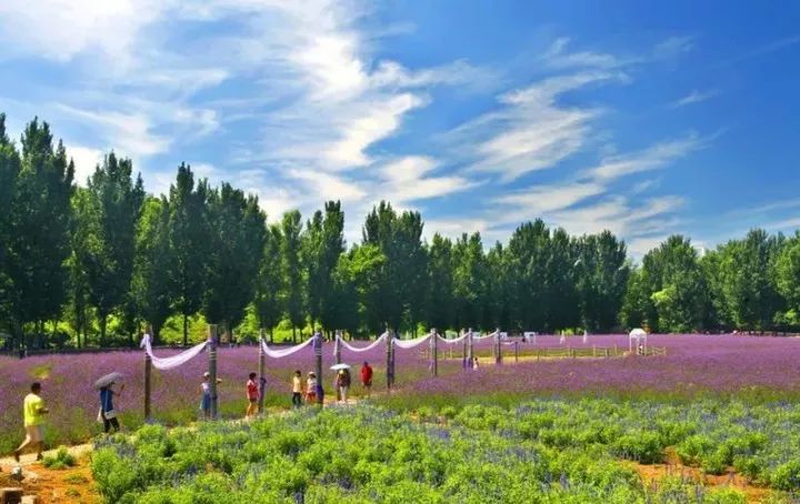 行遍天下广西美景,广西最美的风景打卡地