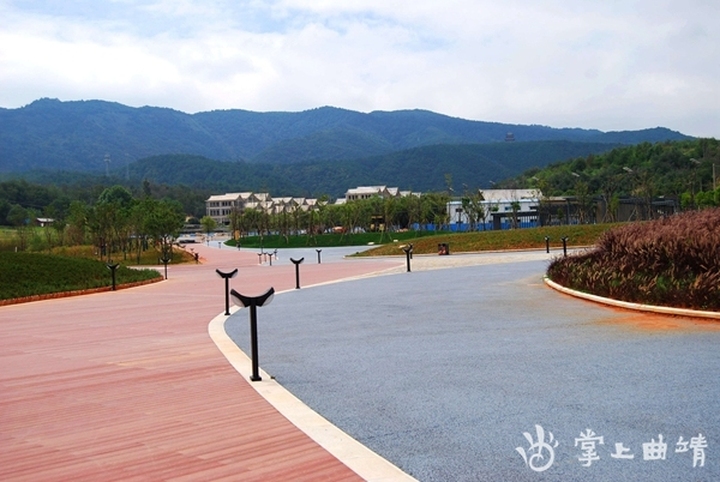 陆良农场打卡网红景点,陆良网红打卡地风景