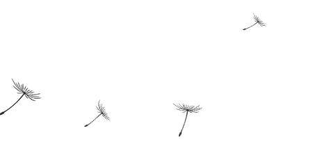 鹿泉古镇啤酒节,鹿泉市啤酒节