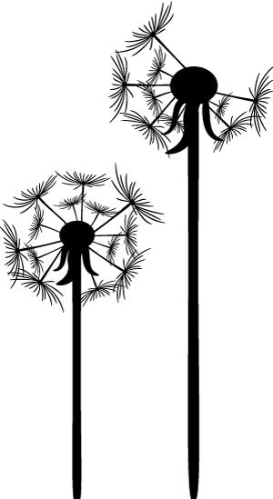 心声|北大_____，我最钟爱的地方