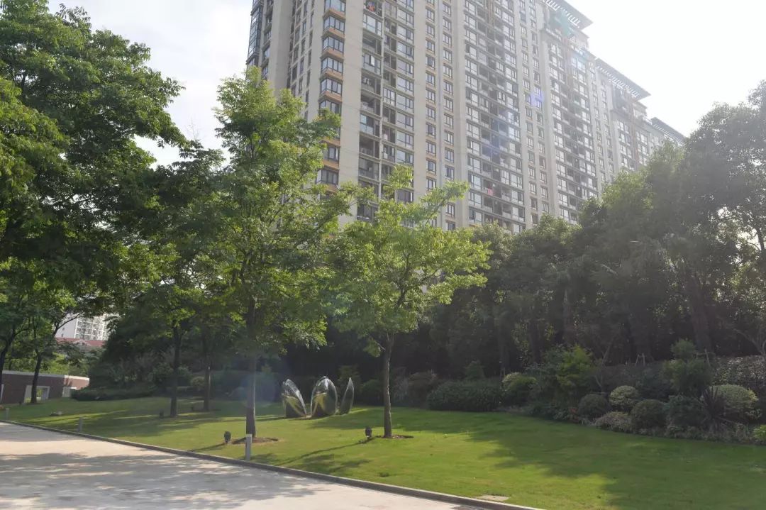 虹桥河滨公园门票多少钱,虹桥河滨公园最新消息