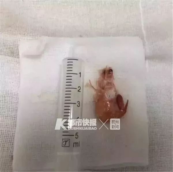 造成虾生病的原因,为什么虾会突然发病