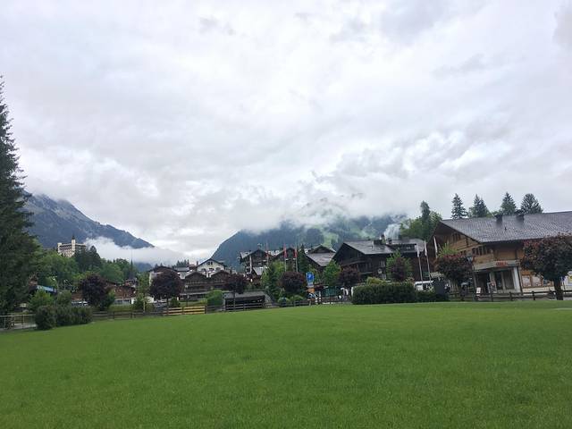 法意瑞15日自由行,执子之手与子偕老艺术写法