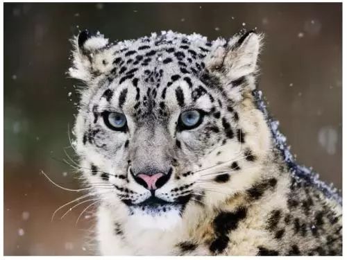 张掖的由来,什么是张掖