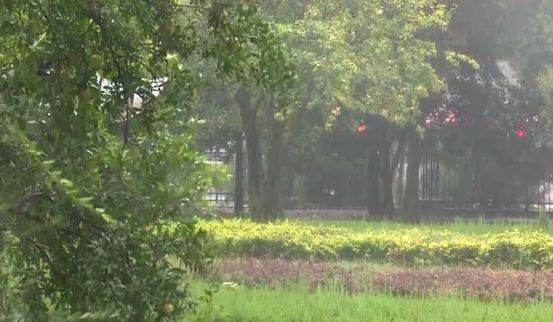 威武武器发射视频,240枚火箭弹发射视频