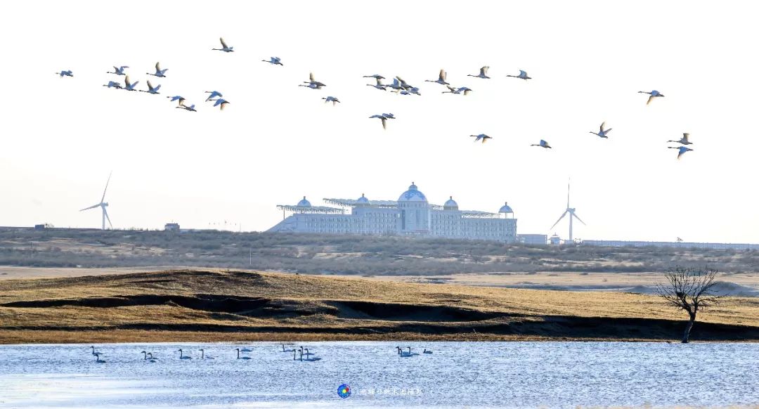 岳额日敦木图:这是美丽家乡科右中旗