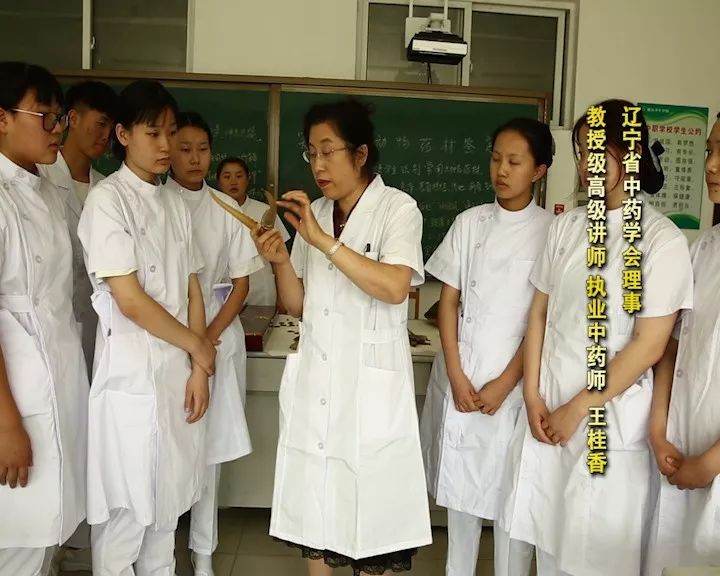 鞍山市的贵族学校,鞍山正规的学校