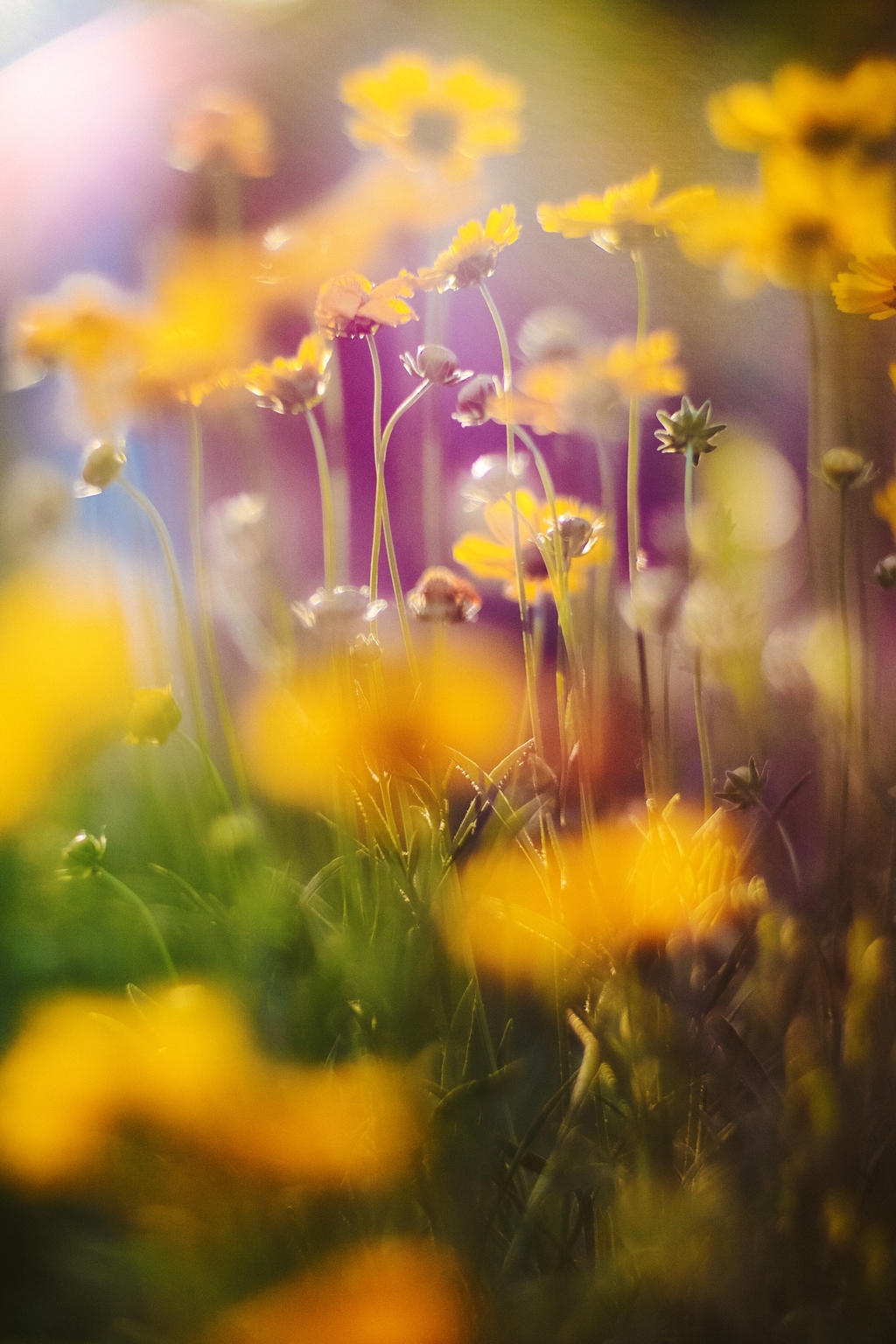 500元购买佳能m50,网购100元电脑开箱