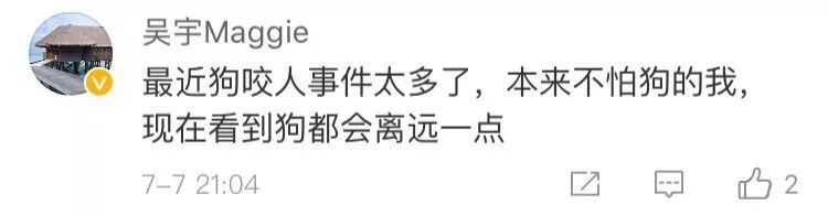 江苏女子给狗狗喂食物被咬,江苏女子被咬狗狗后续