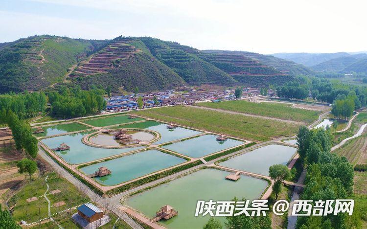 专家谈丨魏延安：《关于促进乡村产业振兴的指导意见》出台，农村电商如何为乡村振兴添翼助力？