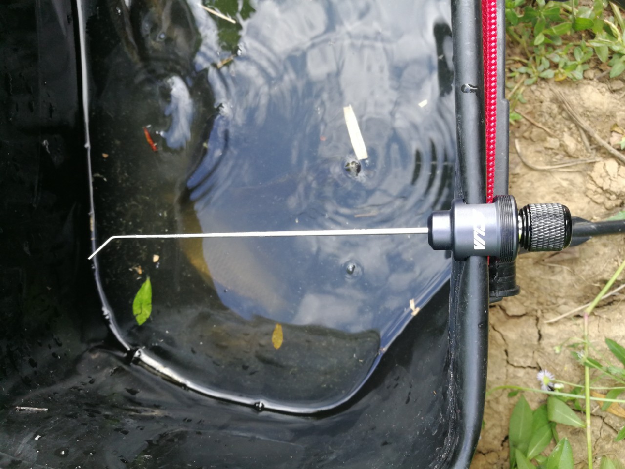 头顶烈阳开拓钓位逐泡寻鲫放流可怜鱼获