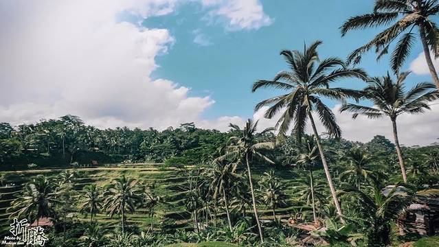南纬八度.又见BALI