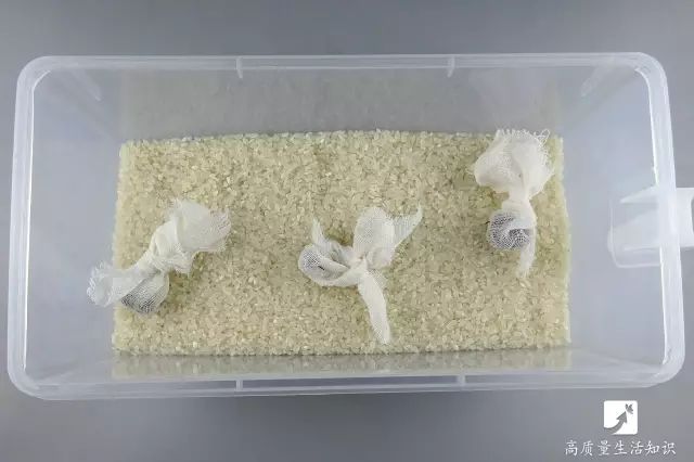 大米生虫子怎么快速驱虫妙招,大米生虫子怎么快速驱虫