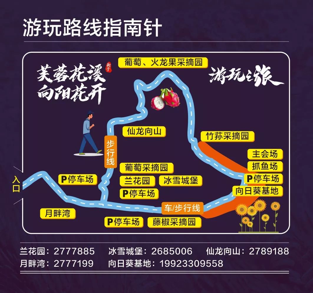 寻乡·觅趣||金色花海、花田美食...游仙芙蓉花溪葵花节等你来狂欢！