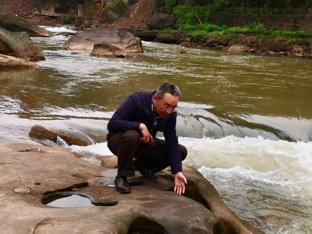 为什么大熊猫是珍稀濒危野生动物,被誉为植物中的大熊猫的珍稀植物