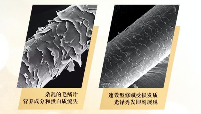 好物|花上千块做护理,在家却用烂大街牌洗发水虐待自己