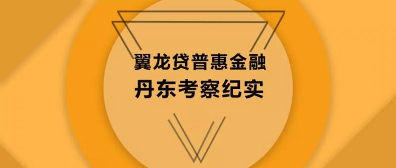 翼龙贷正式接入征信,翼龙贷贷款查询