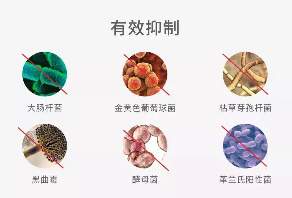 内衣专用洗液除菌抑菌99旗舰店,内衣洗护团购