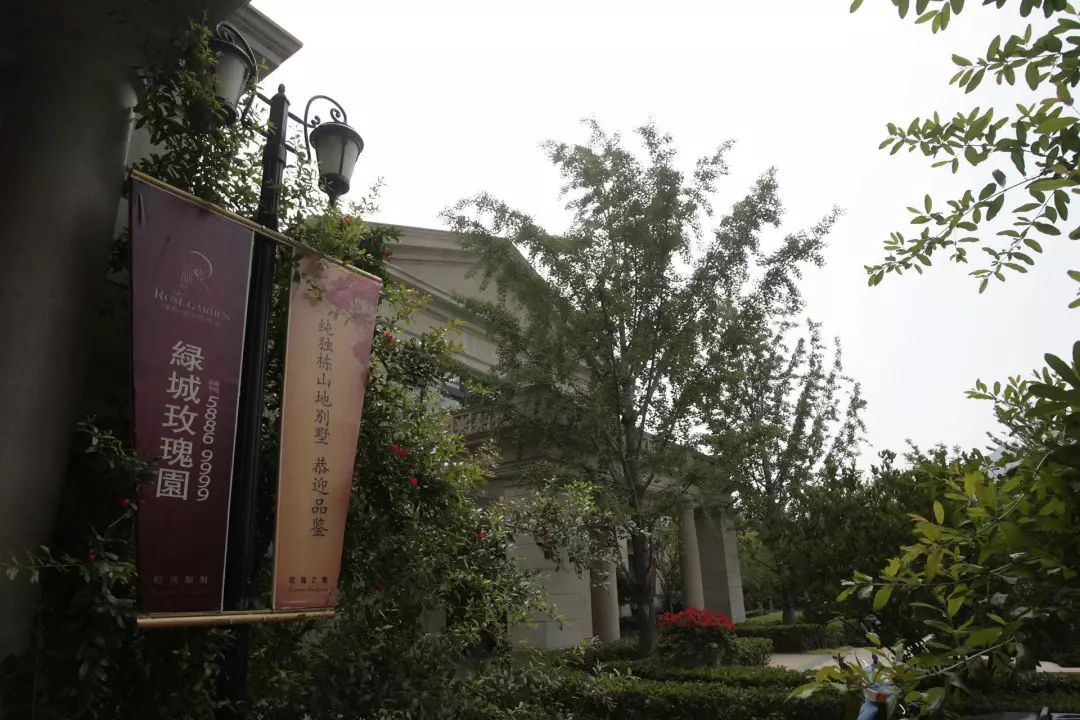 绿城宋卫平青岛,宋卫平绿城集团现状