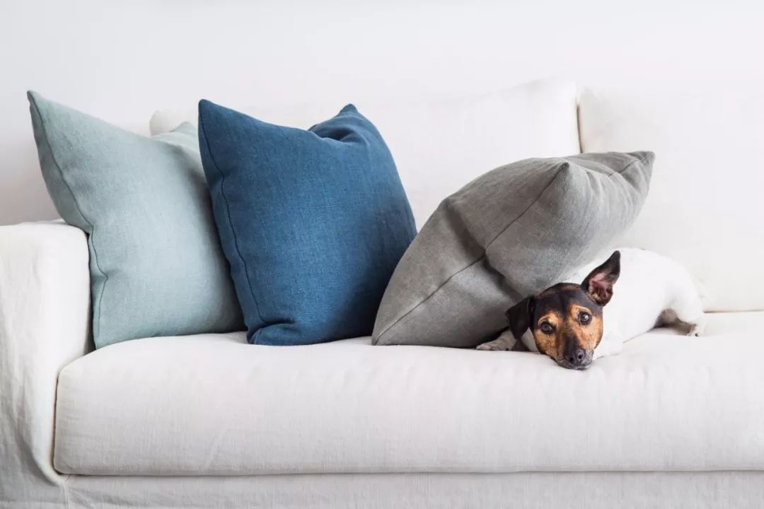 沙发承载了你的惬意,客厅沙发就是家的一道最美的风景