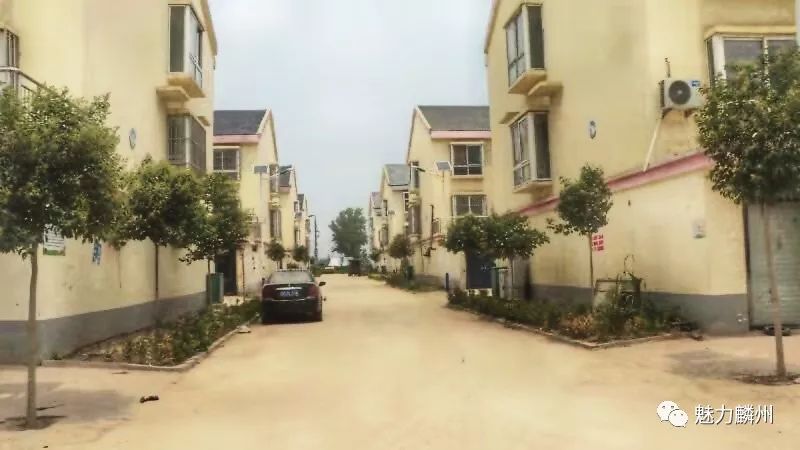 巨野｜这里的村民真幸福！让人羡慕