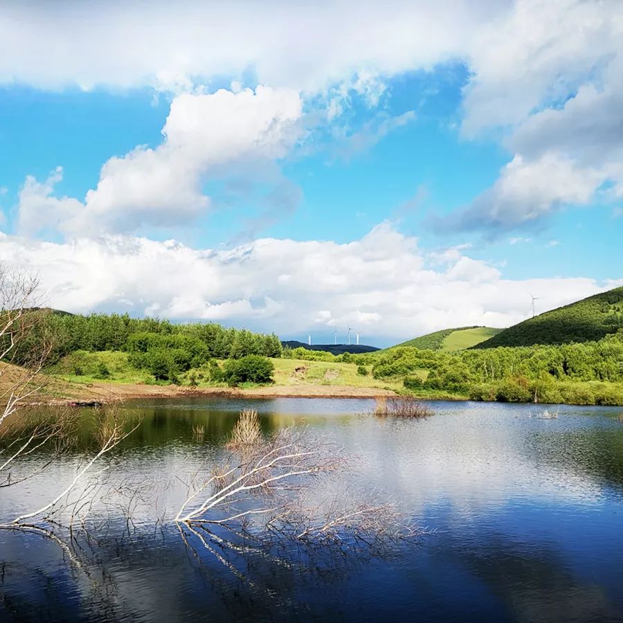 童话草原大套票,童话草原景区门票儿童购票标准