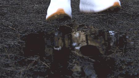 地表Zui强！暴雨蹦迪从不湿还巨暖和！比2个鸡蛋还轻，走8小时一点都不累