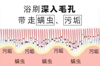 搓背长条沐浴刷,懒人浴室搓背刷