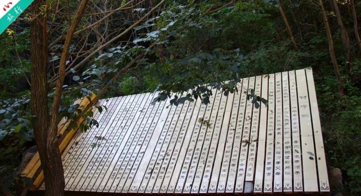 洛阳市养子沟旅游攻略,养子沟一日旅游攻略