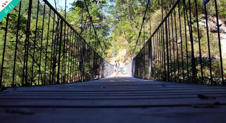 洛阳市养子沟旅游攻略,养子沟一日旅游攻略