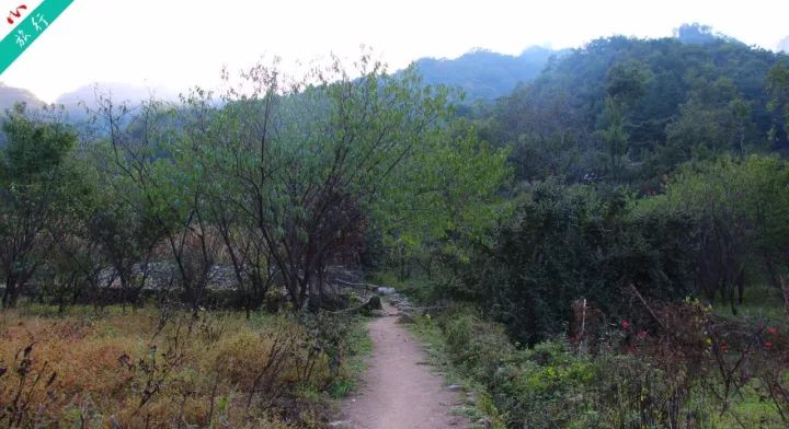 洛阳养子沟自驾游攻略,洛阳养子沟的景点